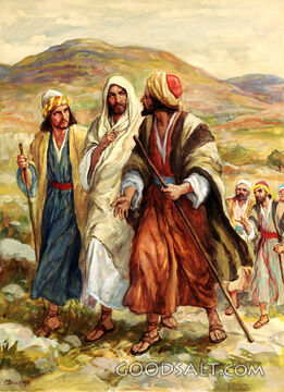 Desire of James and John