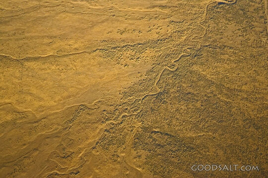 Desolate Earth Patterns
