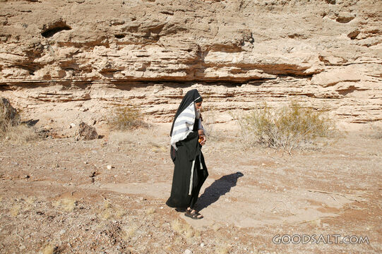 Pharisee Walking in the Judean Wilderness