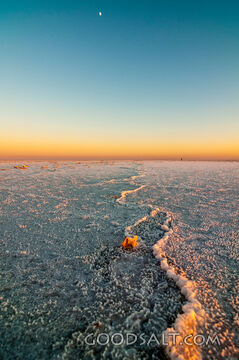 Details of huge salt lake and landscape.