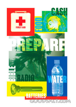 Disaster Preparedness