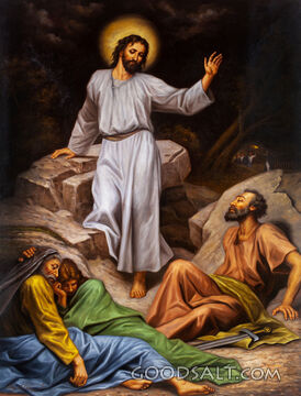 Disciples Sleeping in Garden of Gethsemane 