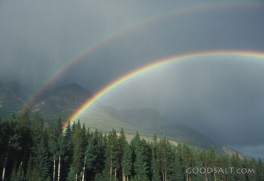 Double Rainbow