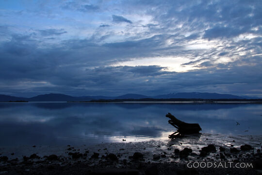 Dramatic Coast