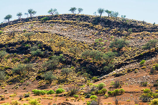 Dramatic outback lighting and scenery.