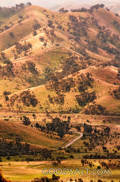 Dry golden grass hills and dirt road.