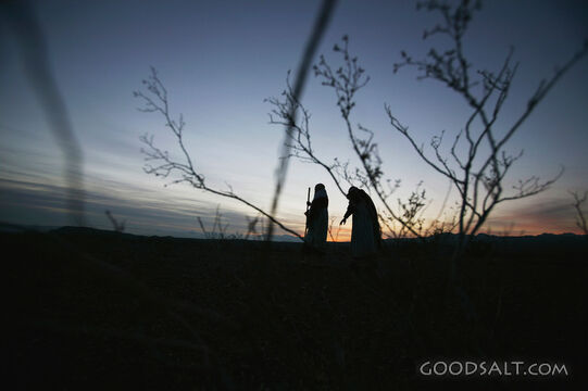 Mary and Joseph on the Road to Bethlehem