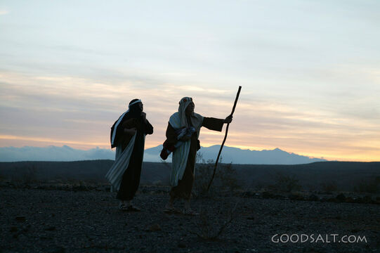 Pilgrims on the Wilderness Road