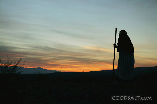 Moses Views the Promised Land