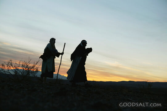 Journey to Bethlehem at Dawn