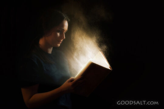 Dusty Bible