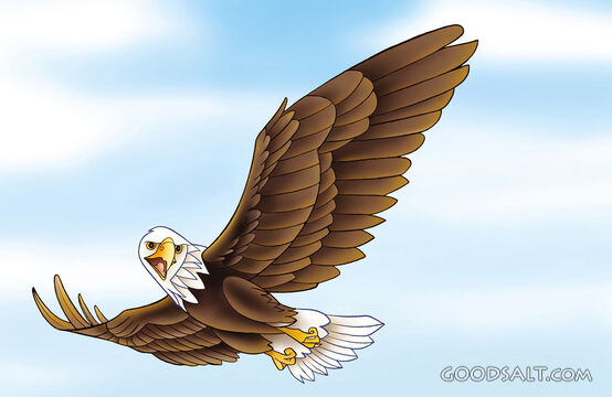 Eagle