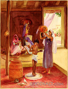Early Morning Scene in India