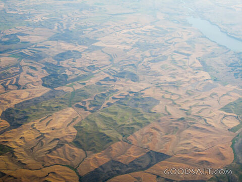 Earth Patterns