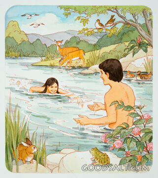Eden Swim