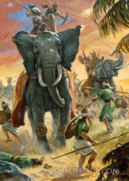 Elephant Battle