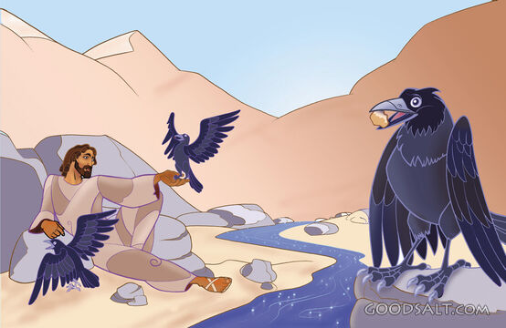 Elijah and the Ravens
