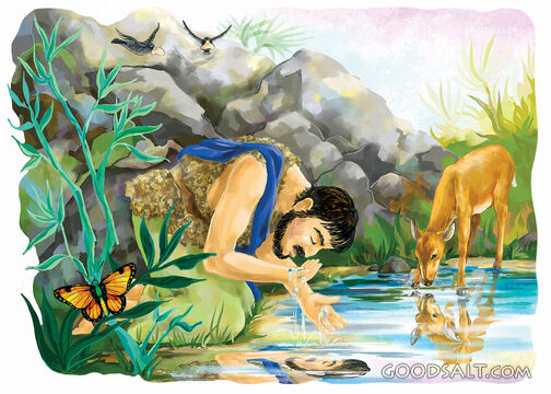 Elijah at the Brook