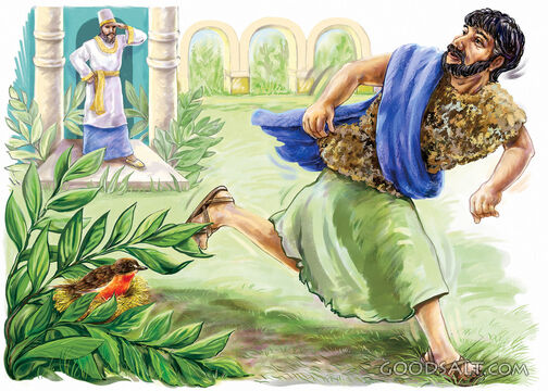 Elijah Escapes
