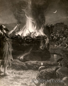 Elijah on Carmel