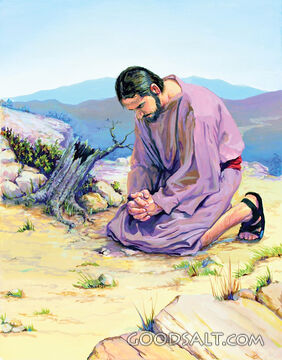 Elijah Prayed for Rain