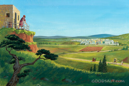 Elijah&#039;s View