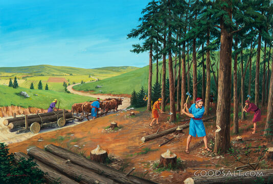 Elisha - Building the School of the Prophets