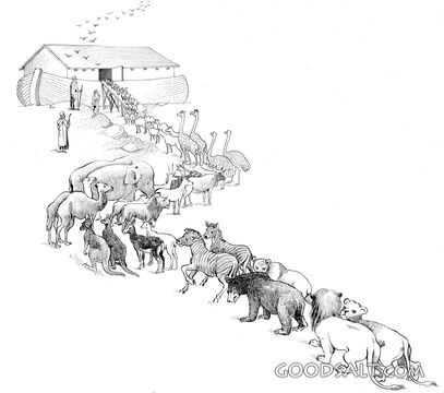 Entering the Ark