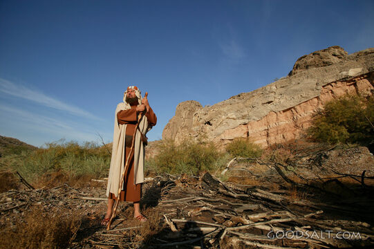 Abram Called into the Wilderness