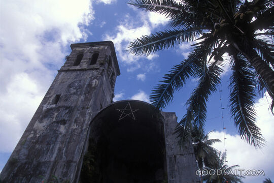 Historic Church Tower Beneath Palms