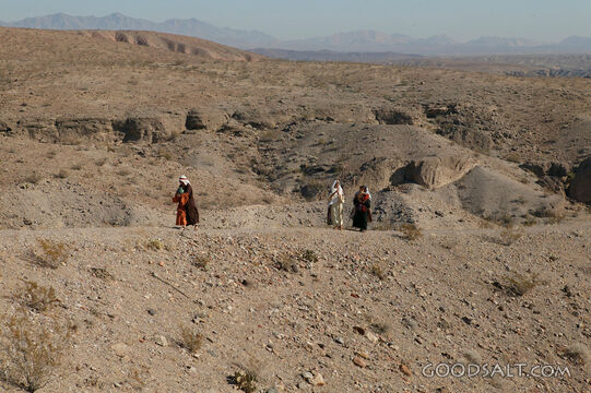 Israelite Women Crossing the Wilderness