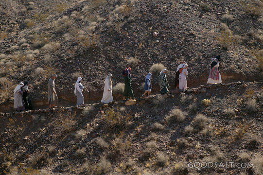 Israelites Journey Through the Wilderness