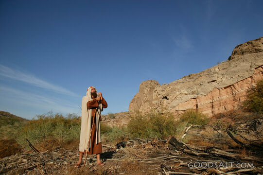 Psalmist Praying in the Wilderness