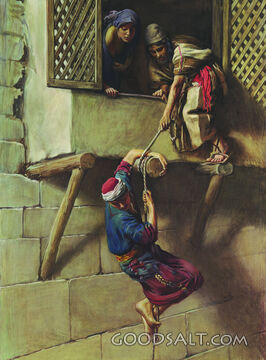 Escape of the Spies