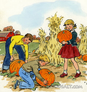 Fall Pumpkins