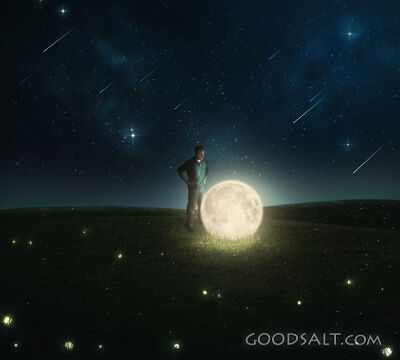 Fallen Moon