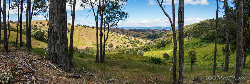Farm land and rolling grassy hills