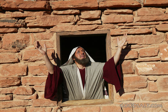 Daniel Praying at the Open Window