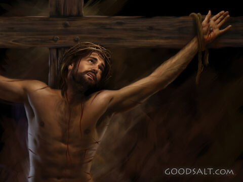 Father Forgive Them