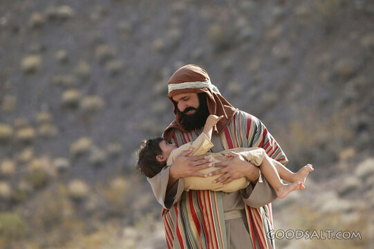 Father Holding Son