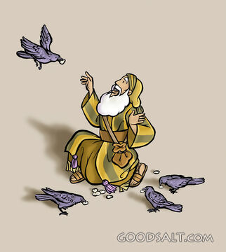 Fed by Ravens