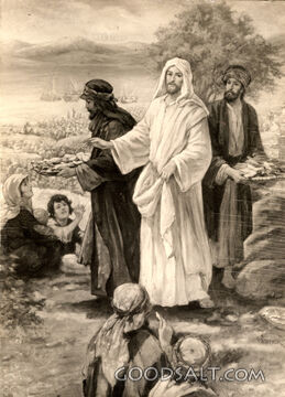 Feeding the multitude