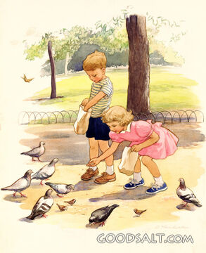 Feeding the Pigeons