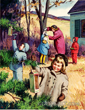 Feeding Winter Birds