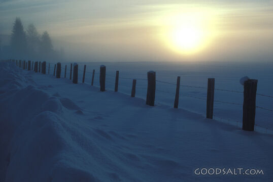 Fence Posts Along Snowy Field