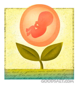 Fetus in Flower
