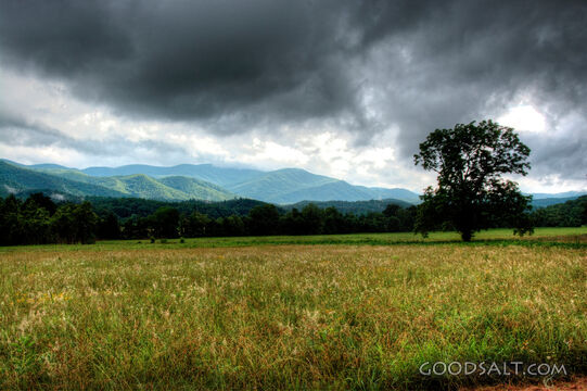 Fields and Mountains