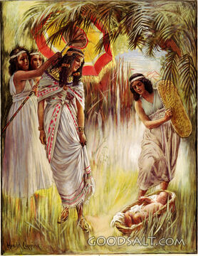 Finding Baby Moses