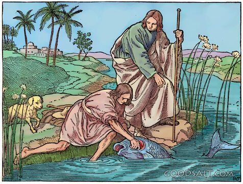 Finding Coin in Fish.