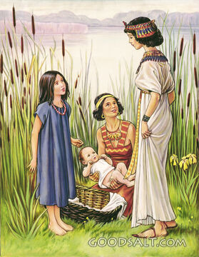 Finding Moses